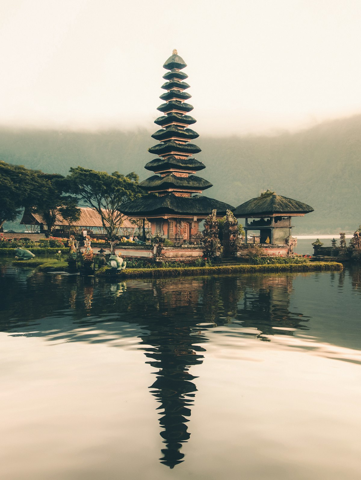 Bali rice terraces with lush green landscape