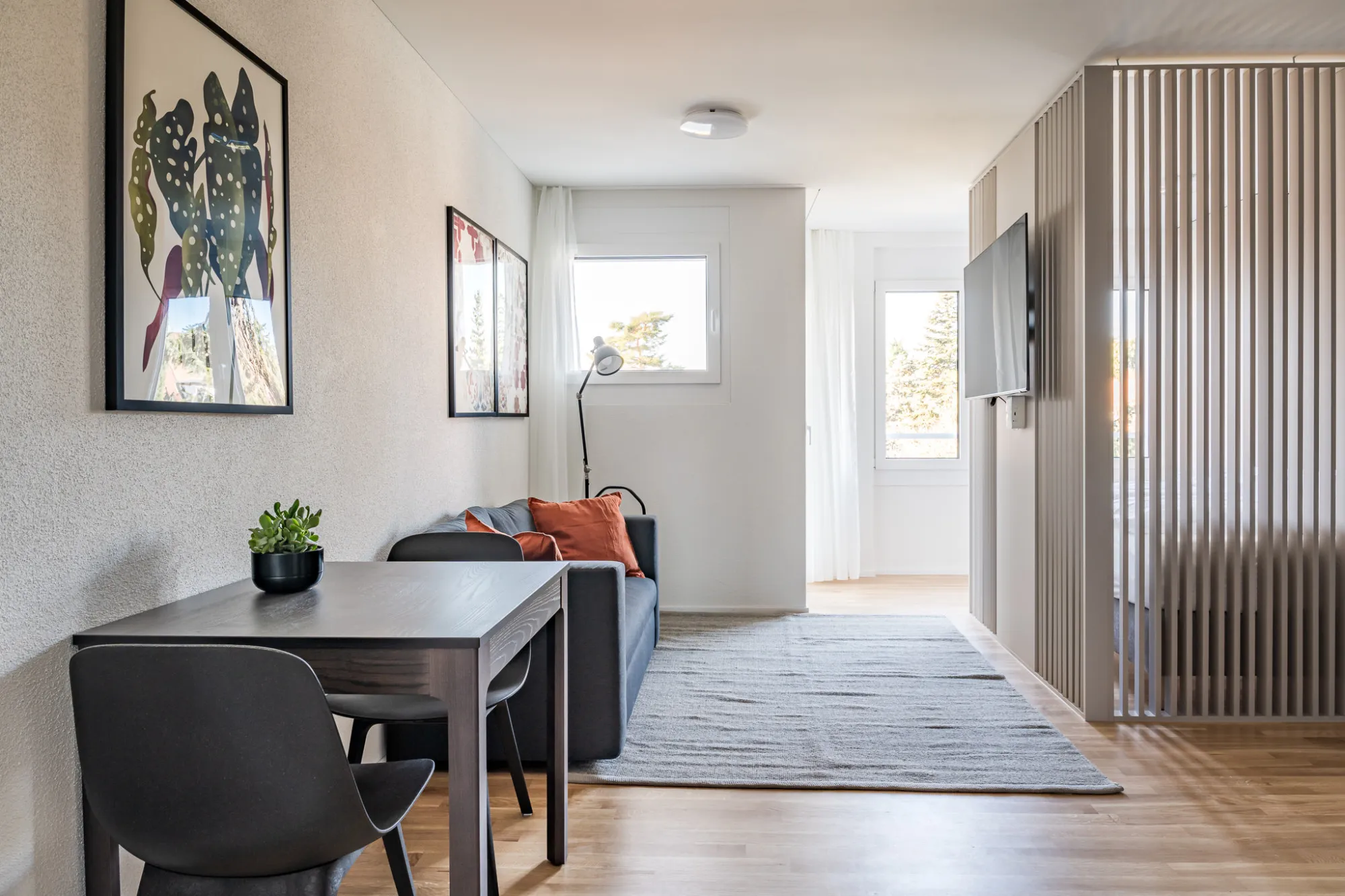 Luxurious Compact Studio For Remote Work In Central Basel