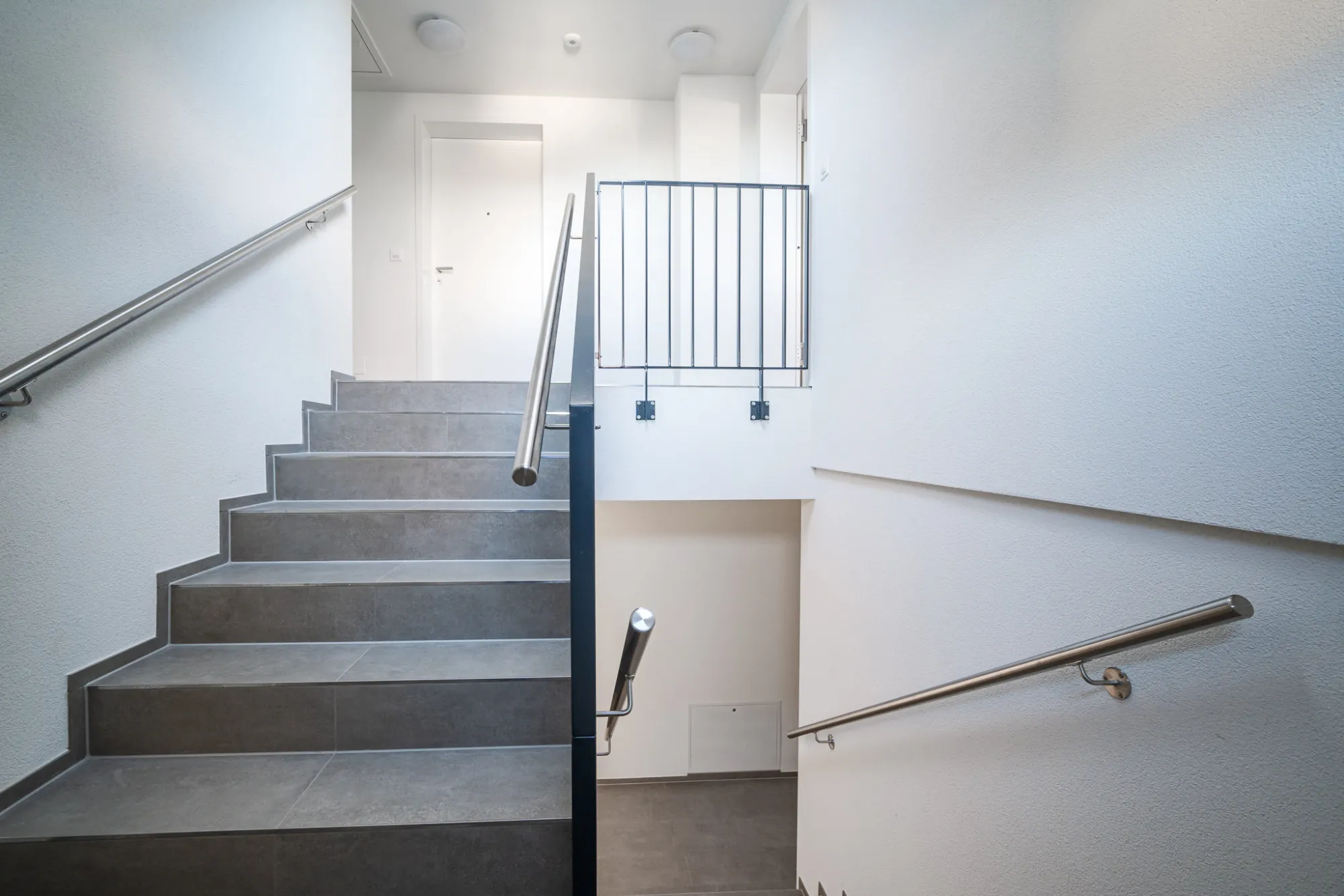 Contemporary Basel Flat With Home Office For Remote Work #3