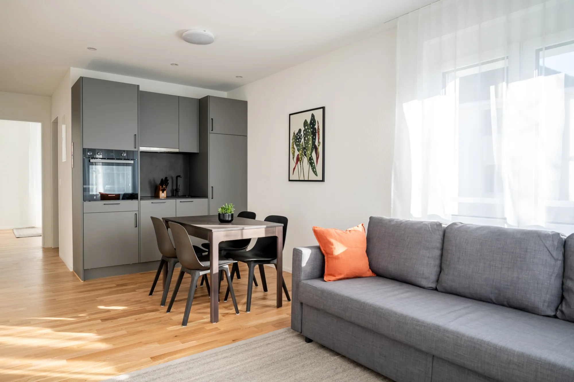 Contemporary Basel Flat With Home Office For Remote Work