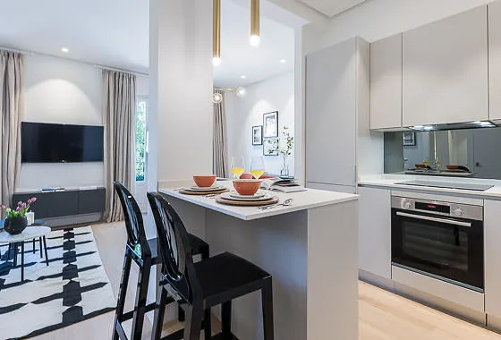 Spacious Madrid Flat With Dedicated Home Office For Remote Work Flexibility #3