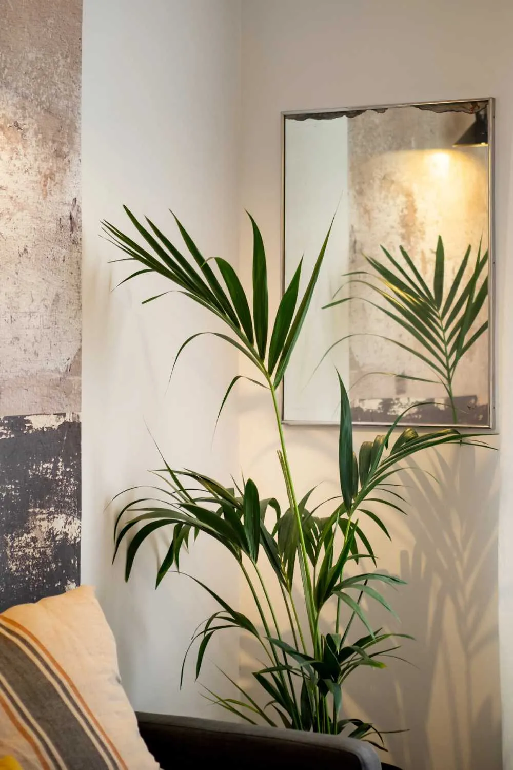 Contemporary 50m2 Barcelona Flat With Ultra-fast Wifi And Pro Home Office Setup #3